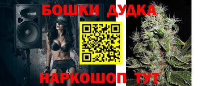 молекула духа Будённовск
