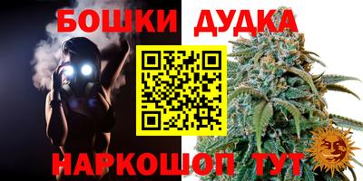 молекула духа Будённовск