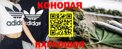 молекула духа Будённовск