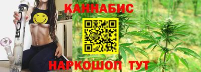 молекула духа Будённовск