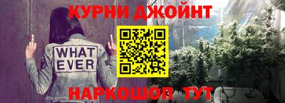 молекула духа Будённовск