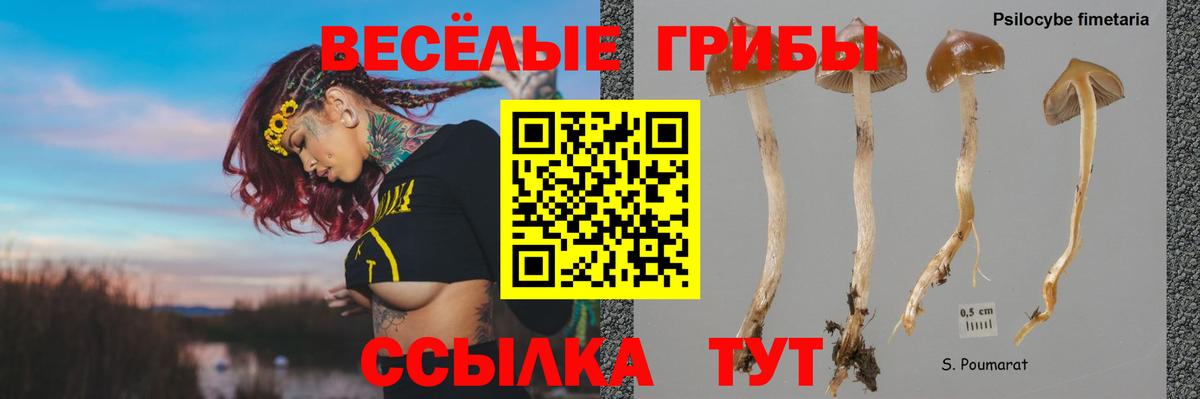 Галлюциногенные грибы Psilocybine cubensis  Вход с VPN  Галлюциногенные грибы ЛСД  Рассказово 